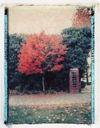 Bellingham phone booth