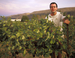 [Stock Photography - Washington Wineries and Vineyards]